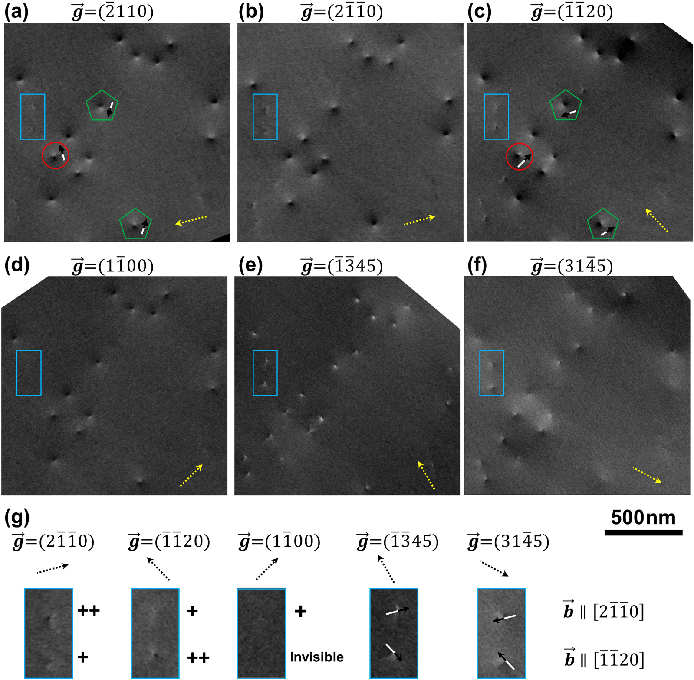 场发射云阳扫描电镜