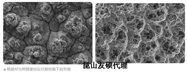 云阳蔡司云阳扫描电镜